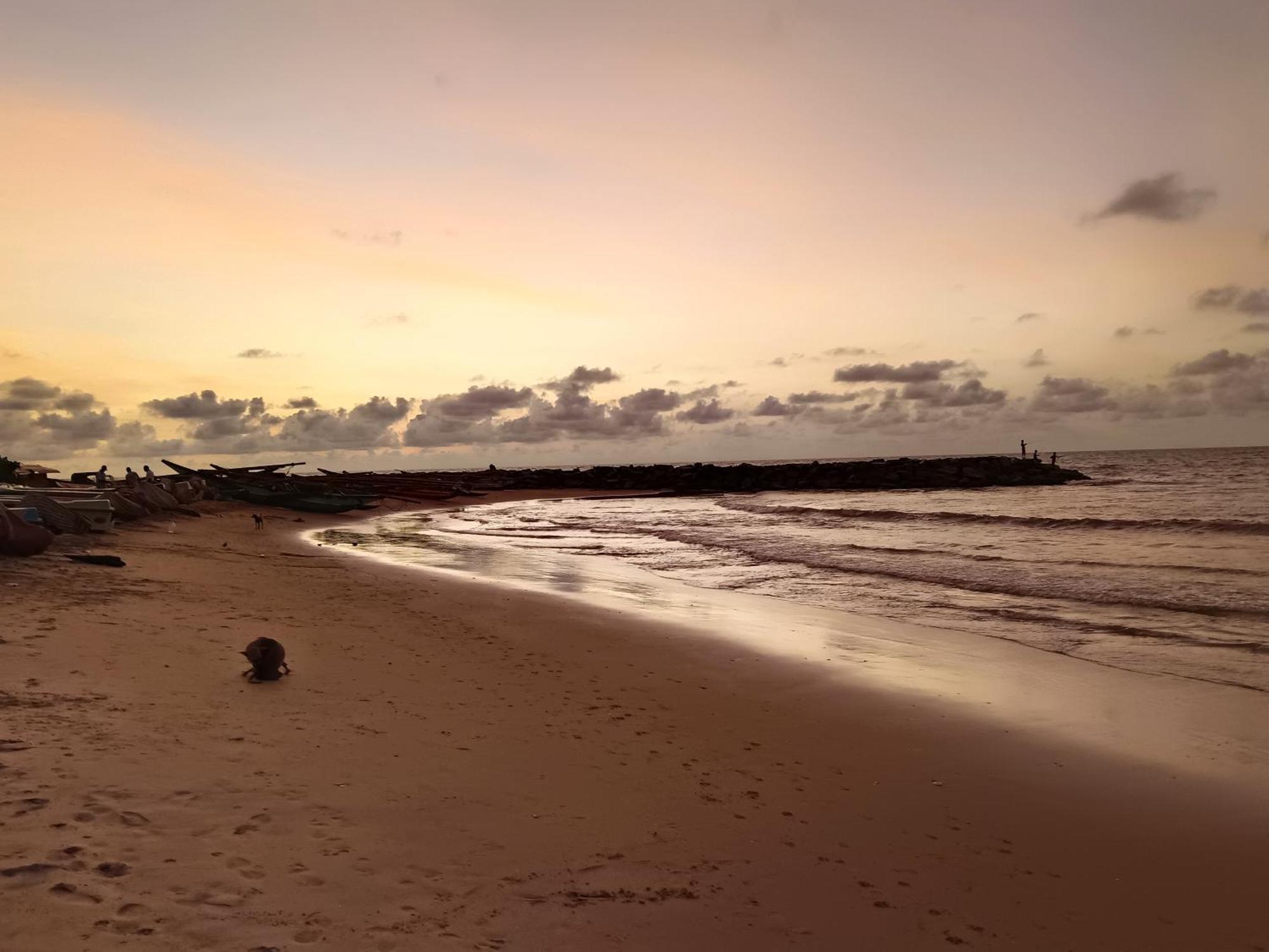 La Cozy Hotel & Restaurant Negombo Daluwekotuwa Bagian luar foto